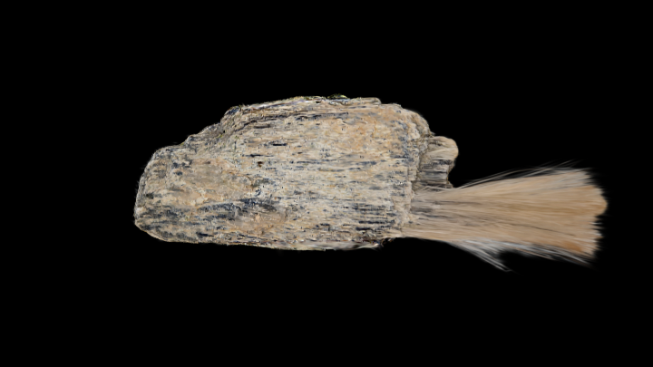 Anthophyllite