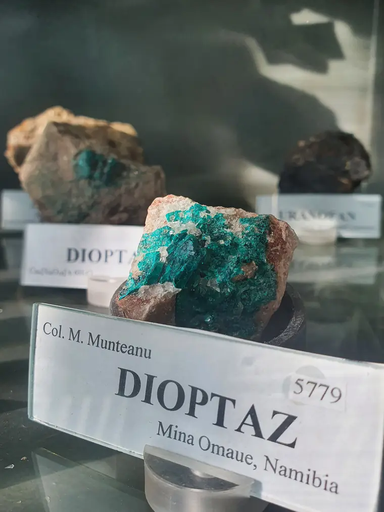 Fotografie din Colecția de Mineralogie și Petrografie, imaginea 10