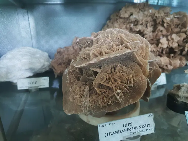 Fotografie din Colecția de Mineralogie și Petrografie, imaginea 6