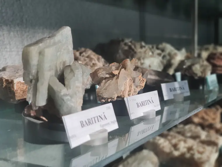 Fotografie din Colecția de Mineralogie și Petrografie, imaginea 8