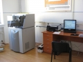 XRF6_6