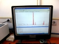 XRF7_7